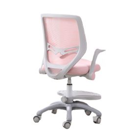 Ghế học sinh chống gù Sakawin WinSmart G107 - Ghế học sinh 1 CM107