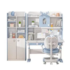 SET DR5X